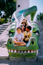 Load image into Gallery viewer, Peter Pan Top - Lavender Gingham